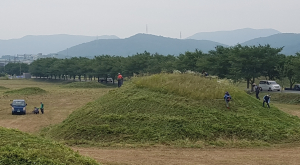 경주시 건천읍, 새마을회 `금척고분군 제초작업`