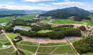 국립경주문화재연구소 ˝신라 왕성, 월성의 축조 연대와 인신공희 사례 추가 확인˝