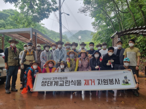 경주국립공원, 자원봉사자 합동 외래식물 제거 활동 추진