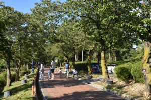 경북문화관광공사, 안전하고 풍성한 한가위 `방문객들 경북 곳곳에 발길`