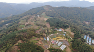 ˝경주시 내남면 박달4리 고사리마을. A 사˝ 태양광발전소 건설 윈윈전략 모색