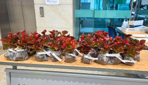 경주시 강동면, 주민자치위원회 코로나 극복 메시지 담은 희망의 꽃 화분 선물