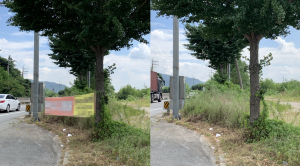 경주시 천북면, 불법현수막 일제정비