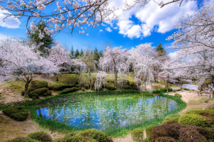 경북문화관광공사, 경북 관광 Four Season 50선 선정
