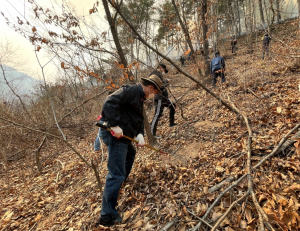 경북문화관광공사, 울진 산불 피해 복구 작업 지원