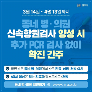 경주시, 동네 병. 의원 신속항원검사 양성 시 `확진 간주`