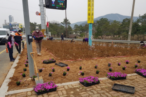 경주시 안강읍, 새마을부녀회 새봄맞이 아름다운 안강 만들기
