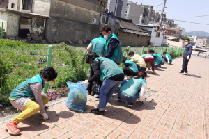 경주시 중부동, 새마을부녀회 봄맞이 가로변 정비