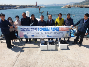 경주시, 어촌 소득 증대 지원 `해삼` 방류