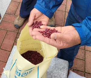 경주시, 지역 팥 재배 농가와 수매계약 추진