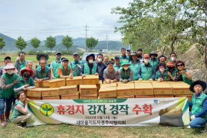 새마을지도자경주시협의회, 어려운 이웃에 `사랑의 감자` 나눔