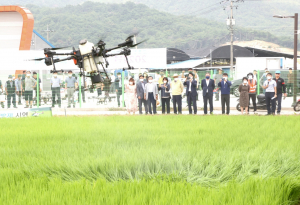 경주시, 벼 병충해 드론 이용 공동방제 `일손부족 해결`