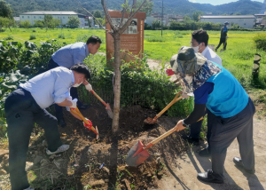 경주시 황성동, 어린이 보호 ˝나무심어 자연그늘 만들다˝