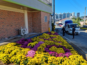 경주시 황성동, 가을향기 가득한 꽃길 조성