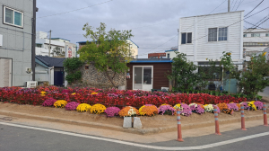 경주시 북경주행정복지센터, 안강 주민들과 함께하는 마을정원 조성