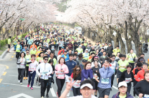 경주시, 4년 만에 `2023 제30회 경주 벚꽃마라톤대회` 개최