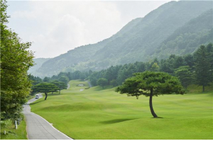 블루원 용인C.C ˝블루원배 제40회 한국 주니어골프선수권대회˝ 개최