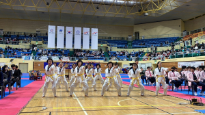 경주시, 2023화랑대기 전국태권도대회 성료
