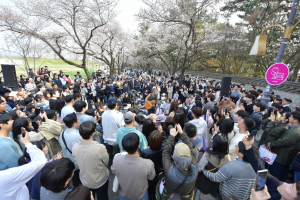 경주시, 대릉원돌담길 벚꽃축제 `볼거리. 즐길거리 가득` 사흘간 14만명 다녀가