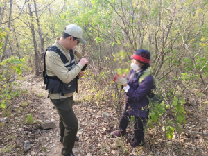 경주국립공원, 봄철 불법. 무질서행위 집중단속