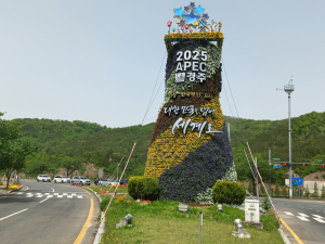 경주시, 시가지 아름다운 봄꽃 물결로 넘쳐