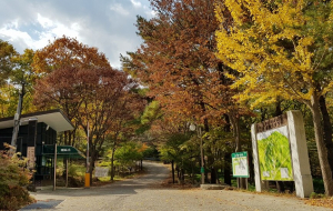 경주시 ‘반려동물과 함께하는 토함산자연휴양림’ 시범 운영