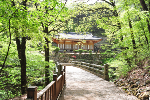 경주시, 수운 최제우 득도처 ‘경주 동학 발상지’ 경북도 지정 기념물 지정 예고