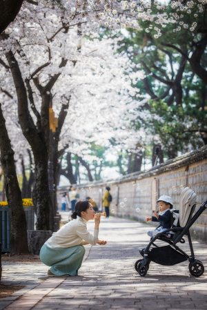 경주시시설관리공단, 경주 사적지 사진 공모전 결과 정정 발표
