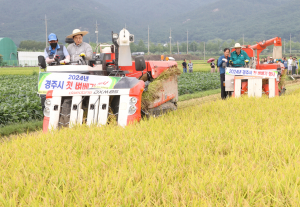 주낙영 경주시장, 첫 벼베기 현장 방문 `농업인과 수확 기쁨 나눠`