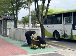 경주시 월성동, 주민자치위원회 ‘추석맞이 환경정비활동` 전개