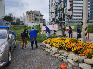 경주시 황성동, 바르게 살기 위원회 `환경정화 활동` 전개