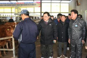 경주시 ˝한우농가 경영 위기 극복 발판 마련˝ 사료이자. 도축비 7억 원 지원