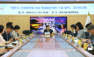경주시, 신성장산업 육성 종합발전계획 중간보고회 개최