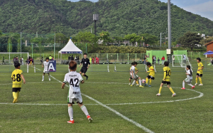 경주시, 역대 최대 규모 ˝2025 화랑대기 전국 유소년 축구대회˝ 개최