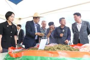 경주시, 알팔파 자급화로 축산농가 숨통 트인다