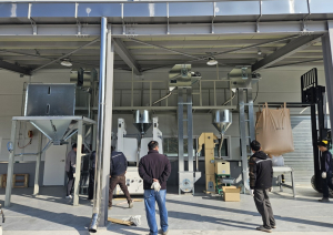 경주시, 콩 생산 증가 대응해 대용량 선별 시스템 구축