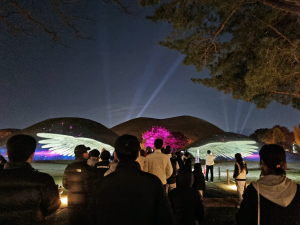 ‘2025 국가유산 미디어아트 경주 대릉원’ 24일간 60만명 몰려… 성황리 마무리
