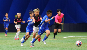 2025 화랑대기, 역대 최대 규모·최고 성과…참가 866팀·경제효과 627억