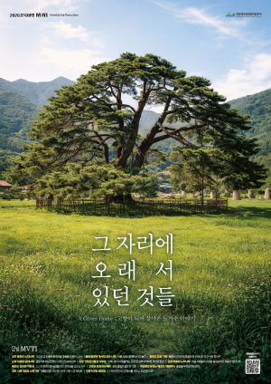 그 자리에 오래 서 있던 것들” 변하는 세상 속 변하지 않은 것들, 경북 노거수 산책