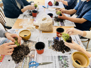 경주 동궁원, 2026년 상반기 식물아카데미 수강생 모집