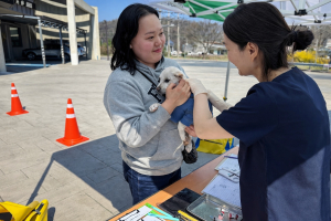 경주시, 반려견 광견병 무료 예방접종 실시… 4월 한 달간