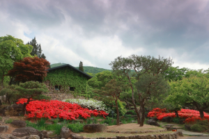 “낮에는 꽃구경과 체험을, 밤에는 숲속에서 낭만 캠핑을” 4월 가족 나들이는‘칠곡 가산수피아’로