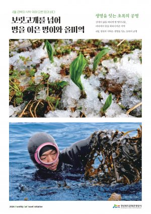 4월 식탁엔 명이와 올미역 어때요?