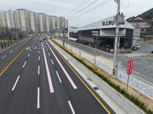 경주시, 용강네거리 황금빛 품은 가로수길로 새 단장