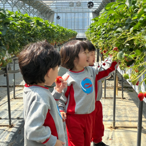 보고·만지고·맛보는 즐거움, 딸기농장에서 배운 봄 이야기