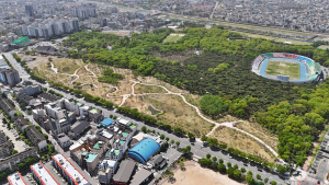 경주 황성공원 도시바람길숲 1단계 완료…시민에 전면 개방