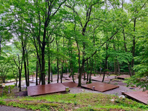 경주시시설관리공단, 토함산자연휴양림 야영장 개장