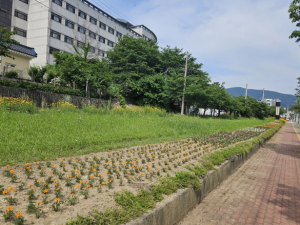 선도동행정복지센터, 아름다운 선도동 만들기