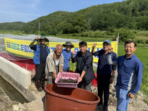 서면 도리 친환경쌀 단지‘미꾸라지와 우렁이 동시 살포 벼농사’눈길