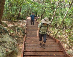 남산 열암곡 탐방로 안전시설 조성 남산 열암곡 탐방로 안전시설 조성